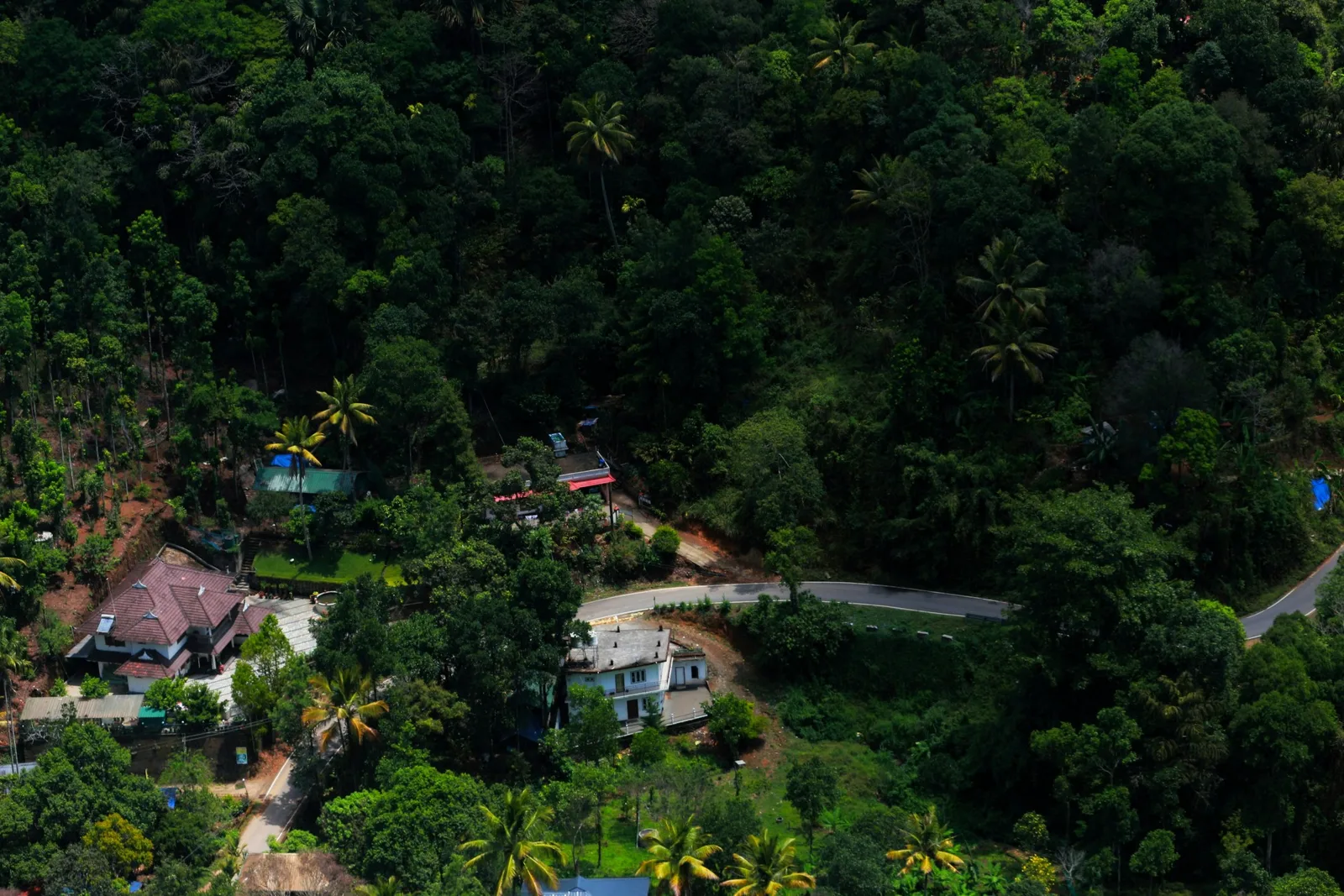 Aerial view of a Kerala village with houses, winding road, and lush green forest.