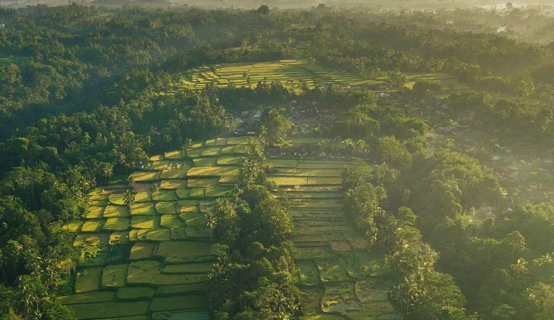 Iconic Tegallalang Rice Terraces in Ubud, Bali, with lush green landscapes and traditional Balinese farming.