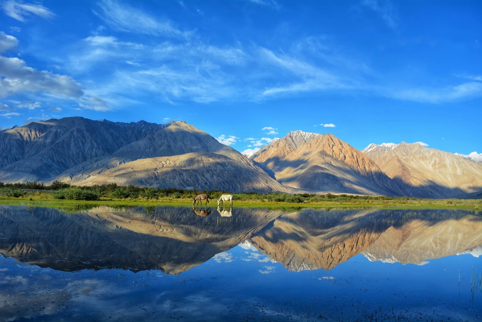 Beautiful view of Pangong Lake in Ladakh