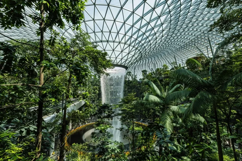 Botanical garden Singapore tour