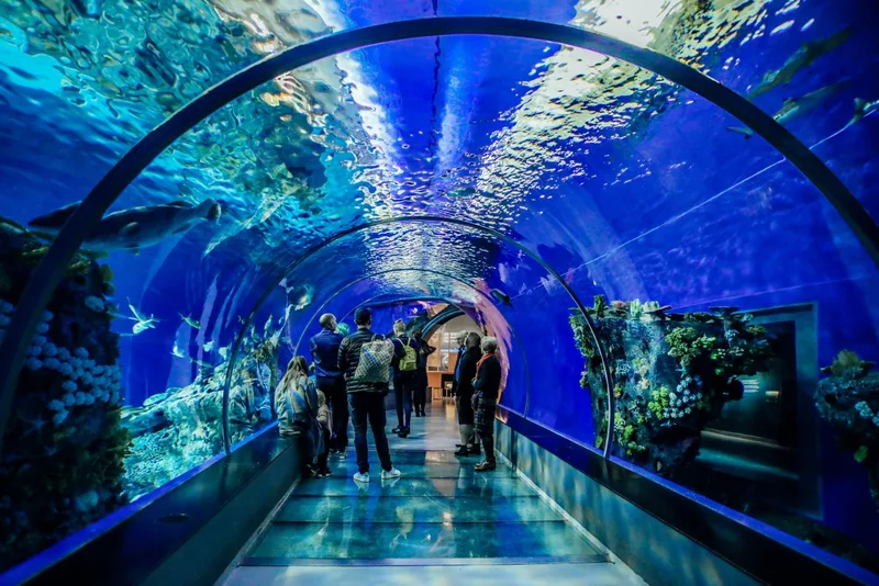 Dubai Mall Aquarium