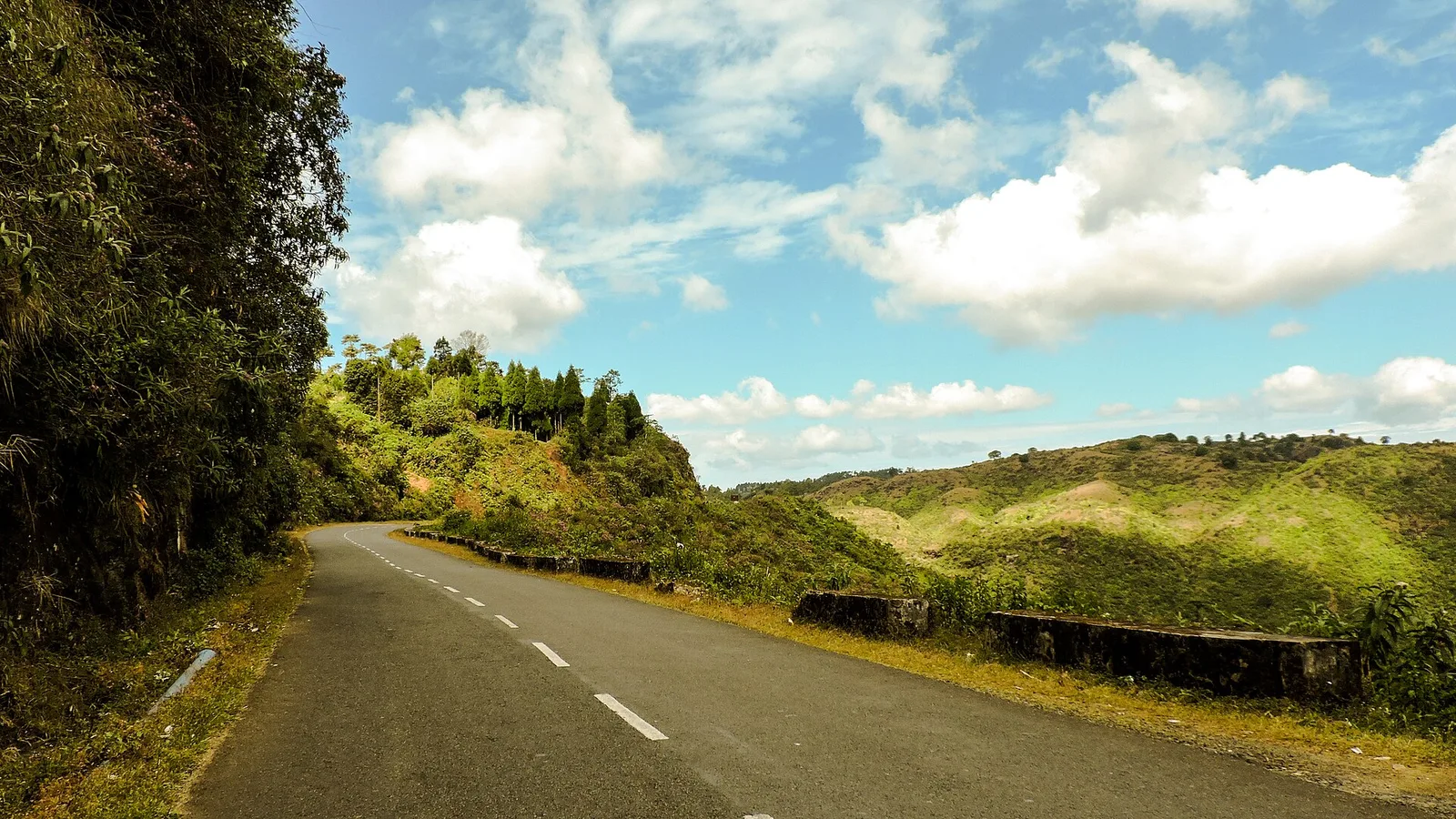 A road winding through the pine-covered hills of Shillong, Meghalaya