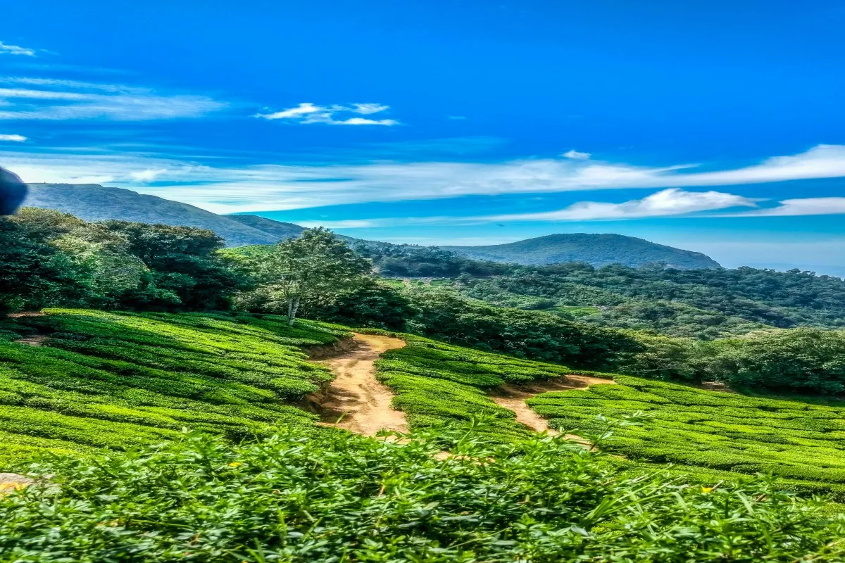 Munnar scenic view
