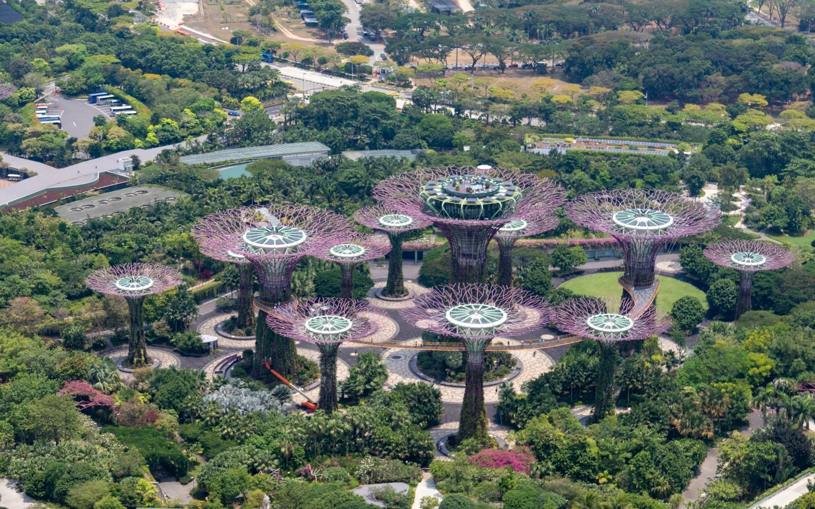 Supretree Grove at Bay of Singapore