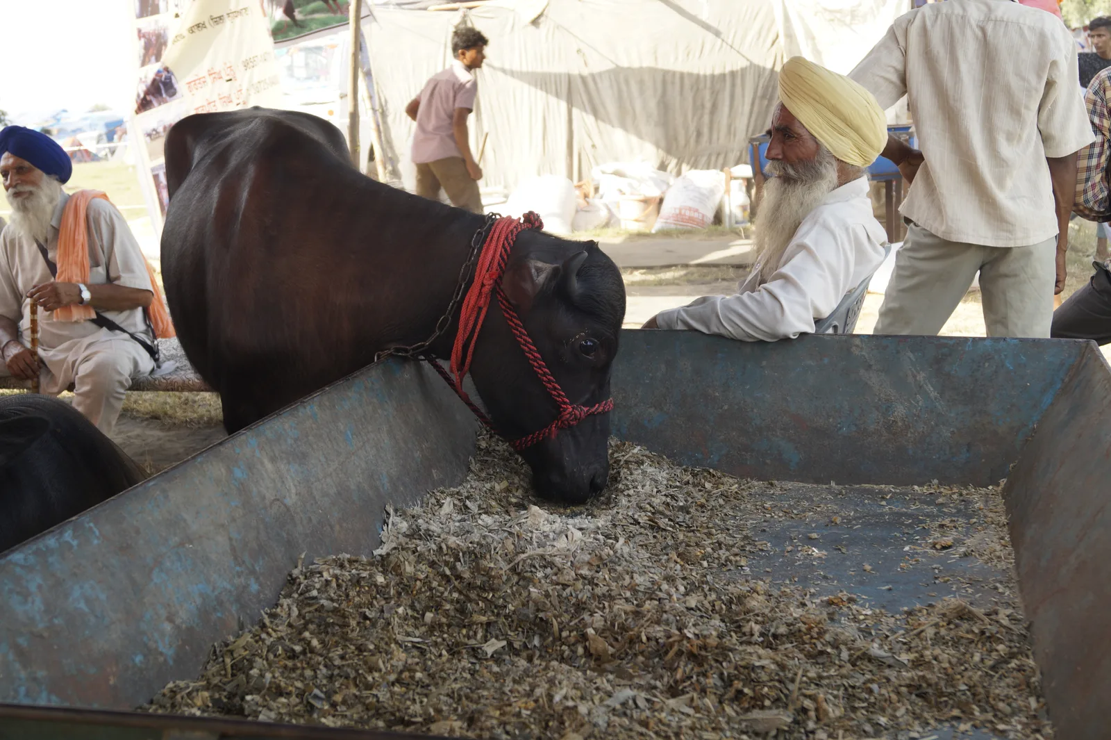 Chhapar Mela village fair in Chhapar, Ludhiana district, Punjab