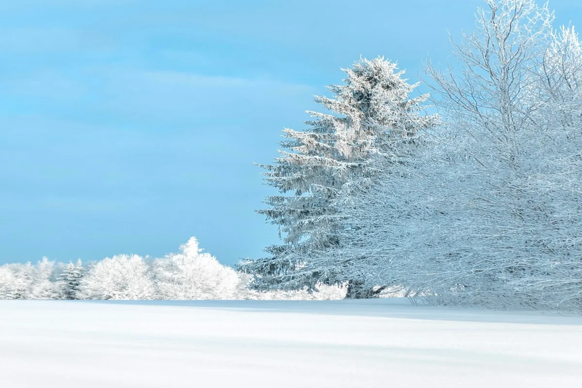 Cold winter morning with blue sky