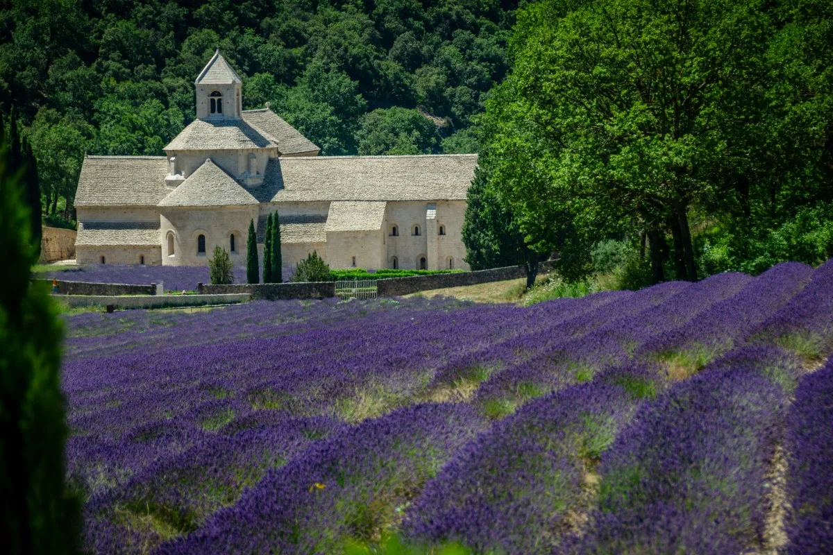 unique view of france