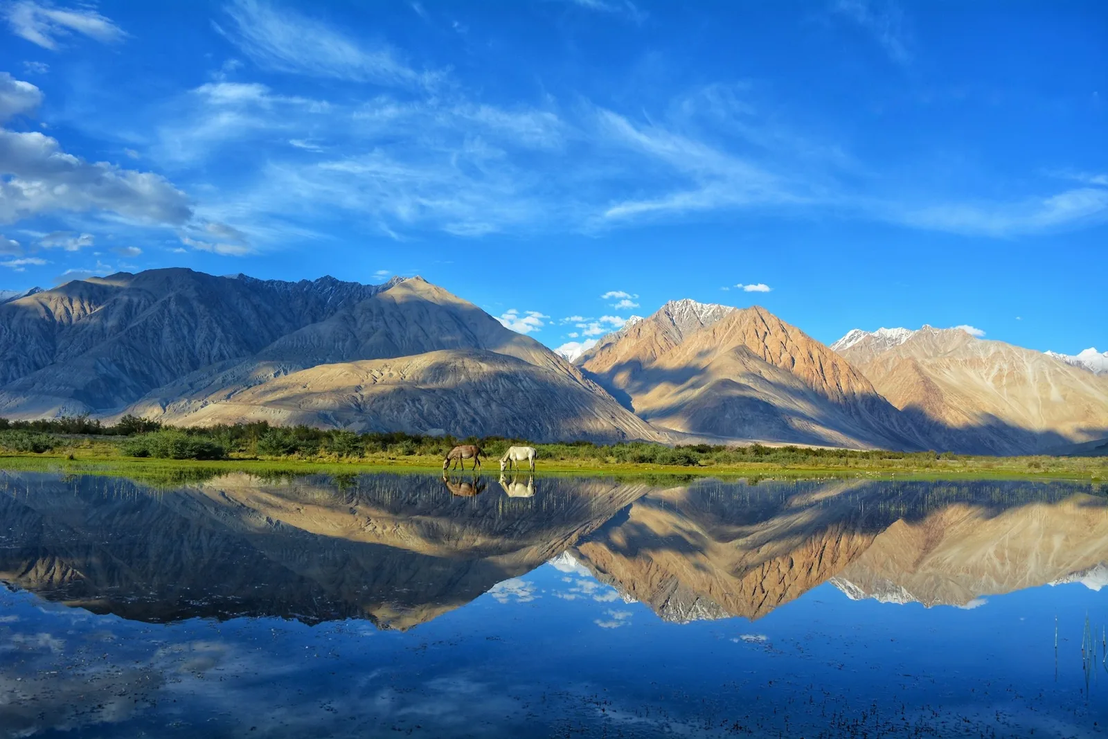 Leh, Ladakh