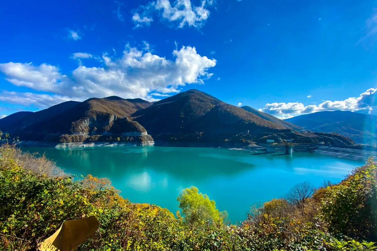 Georgia's view
