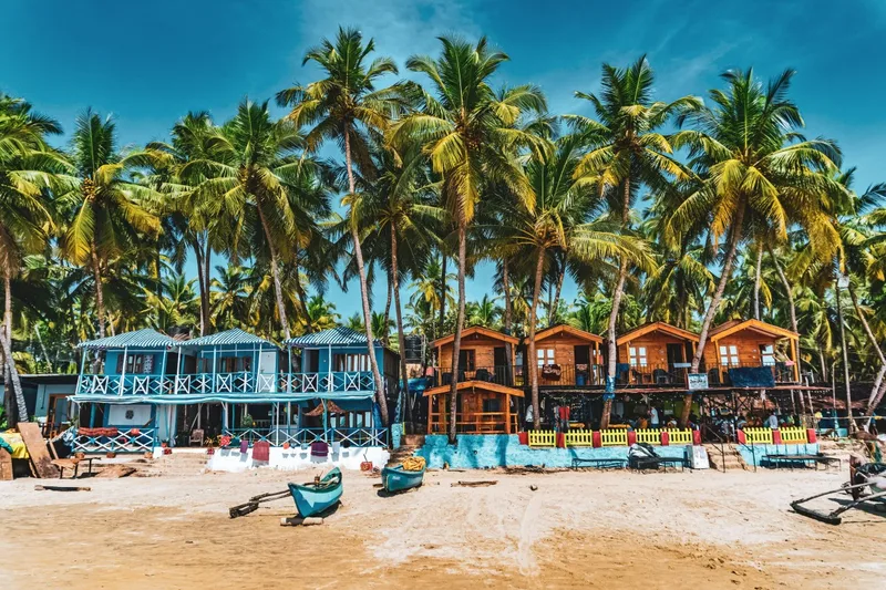 Goa Beach view, coconut trees