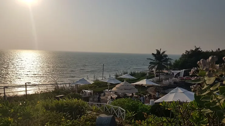 Scenic view of a seaside resort in Goa with white parasols, lush greenery, and the sun setting over the Arabian Sea