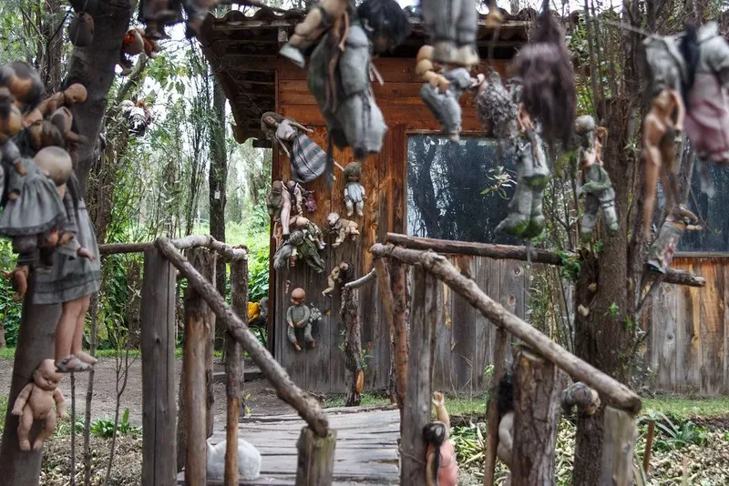Island of dolls where large number of dolls are hanged here and there