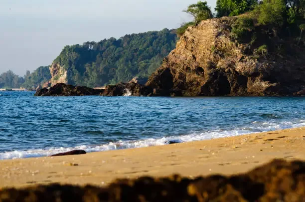 Some beaches sparkle, some heal. Marari Pozhi does both.