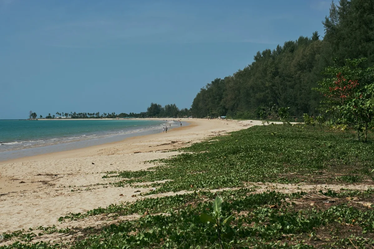 Where time slows down and the sea speaks softly - Thaikadappuram Beach vibes.