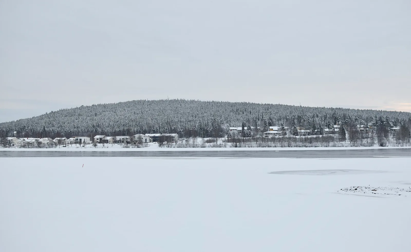 Snow covered forest on Ounasvaara above Rovaniemi in winter, Finnish Lapland