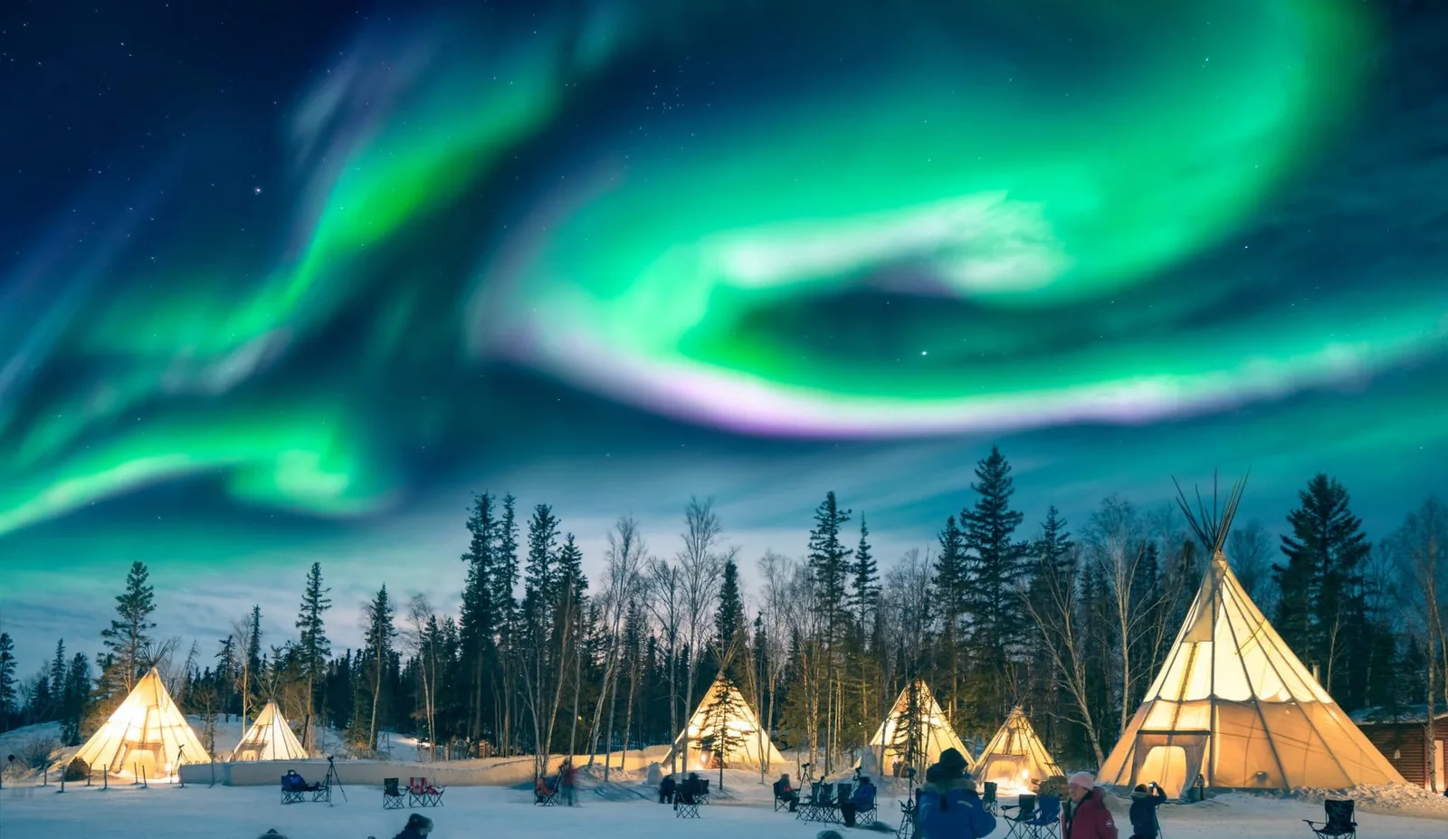 Aurora Borealis over snow-covered forests in the Canadian Arctic