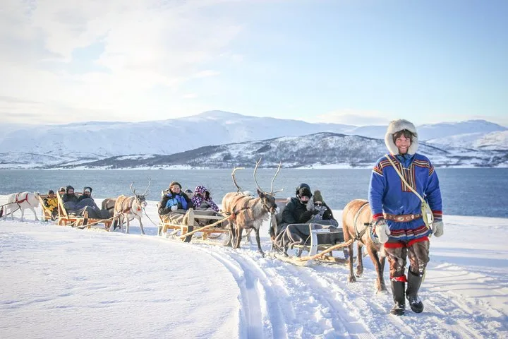 Reindeer sledding through snowy Arctic landscapes during a Northern Lights adventure