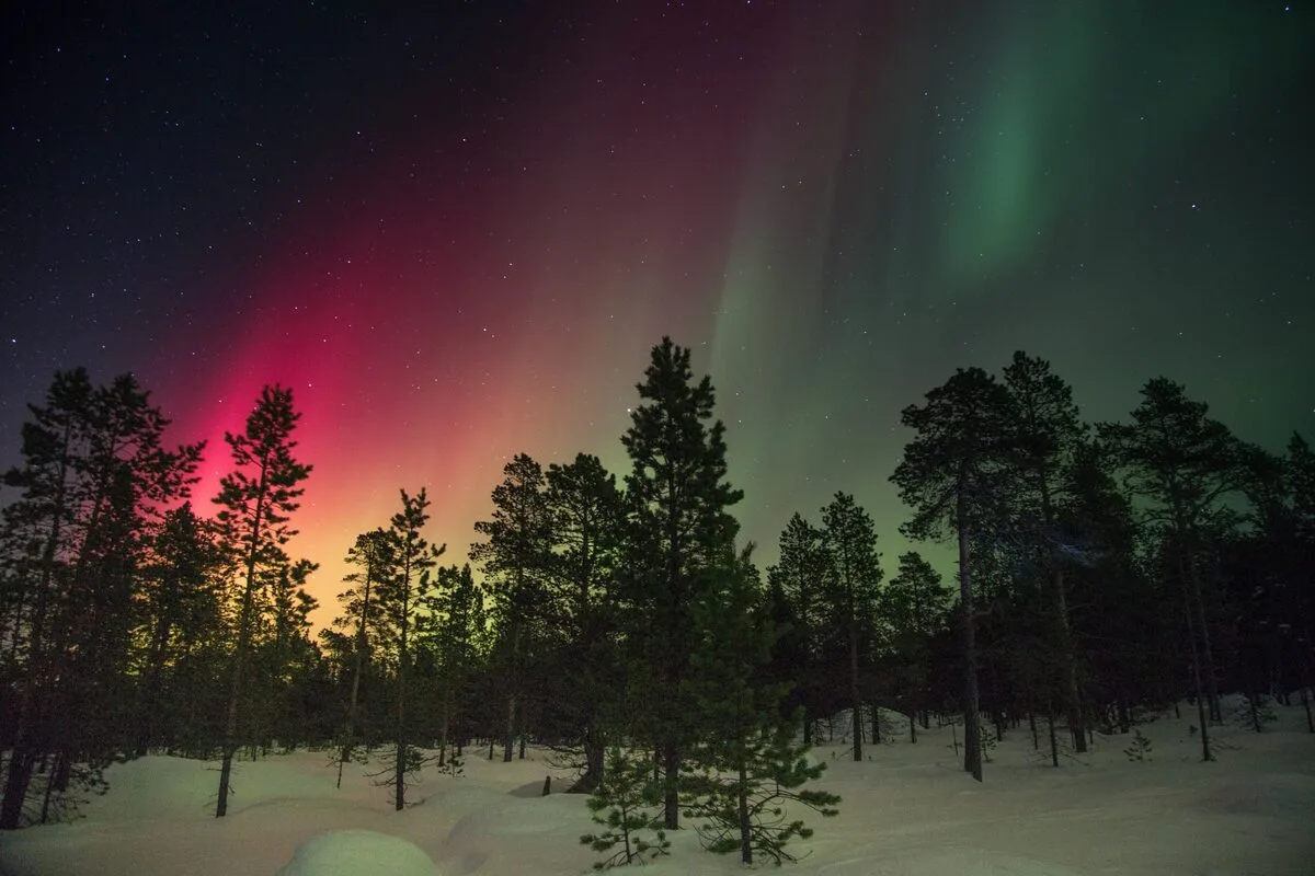 Northern Lights over the winter landscape of Abisko, Sweden