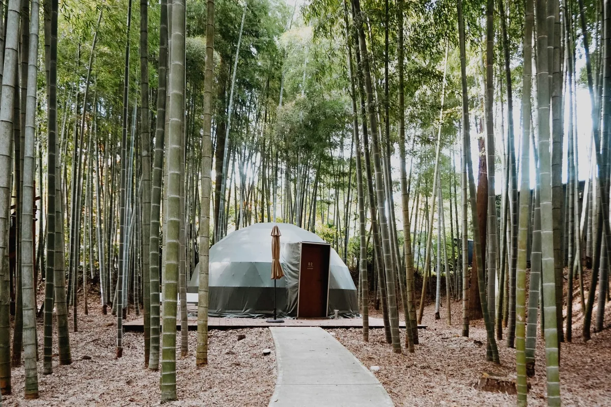 Glamping dome nestled in a bamboo forest in Pai, Thailand - a peaceful escape for artists and nature lovers.