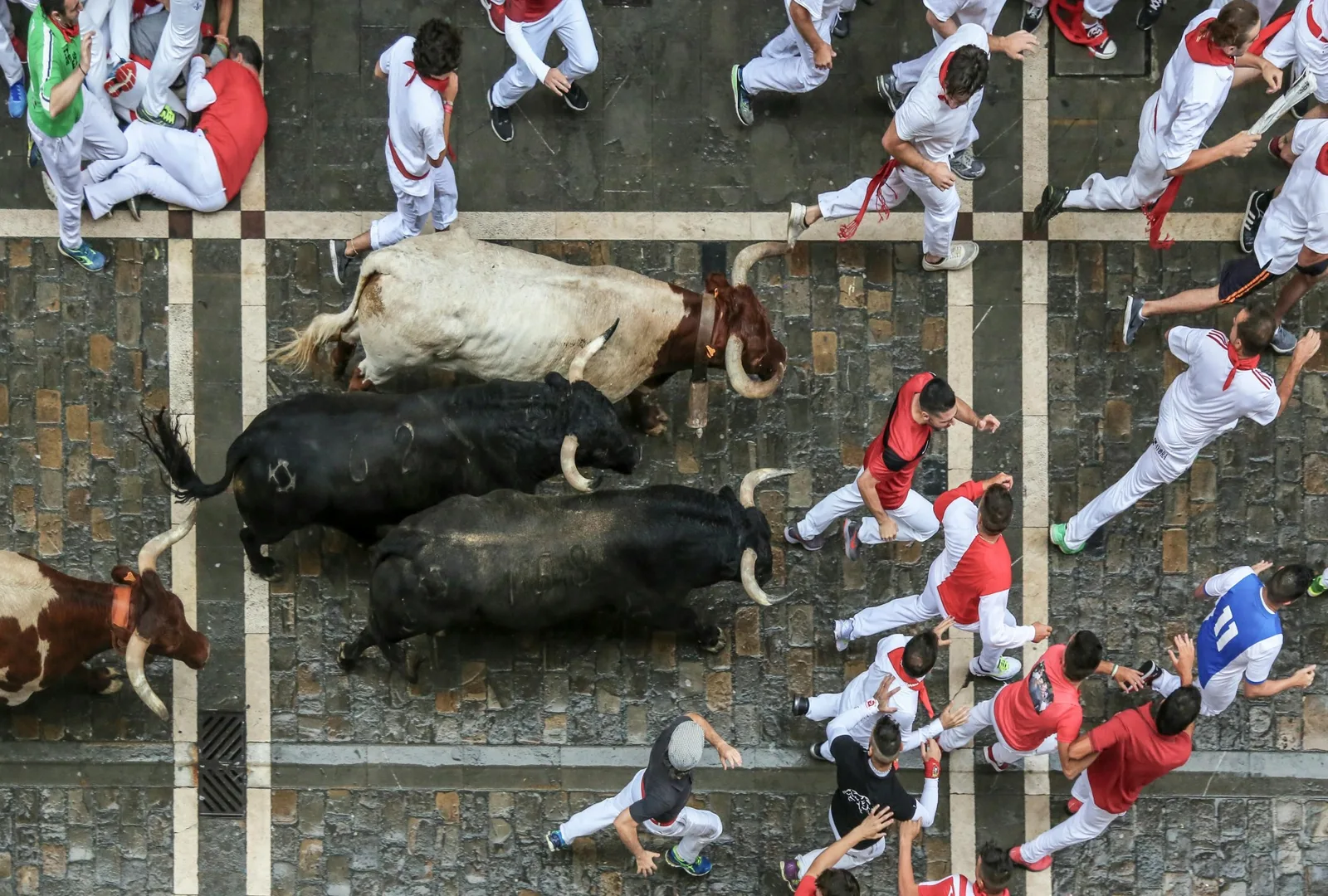 Dynamic scene of the Running of the Bulls in Pamplona, Spain, capturing the thrill of the chase