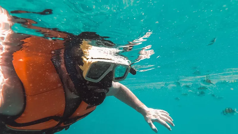 Snorkelling