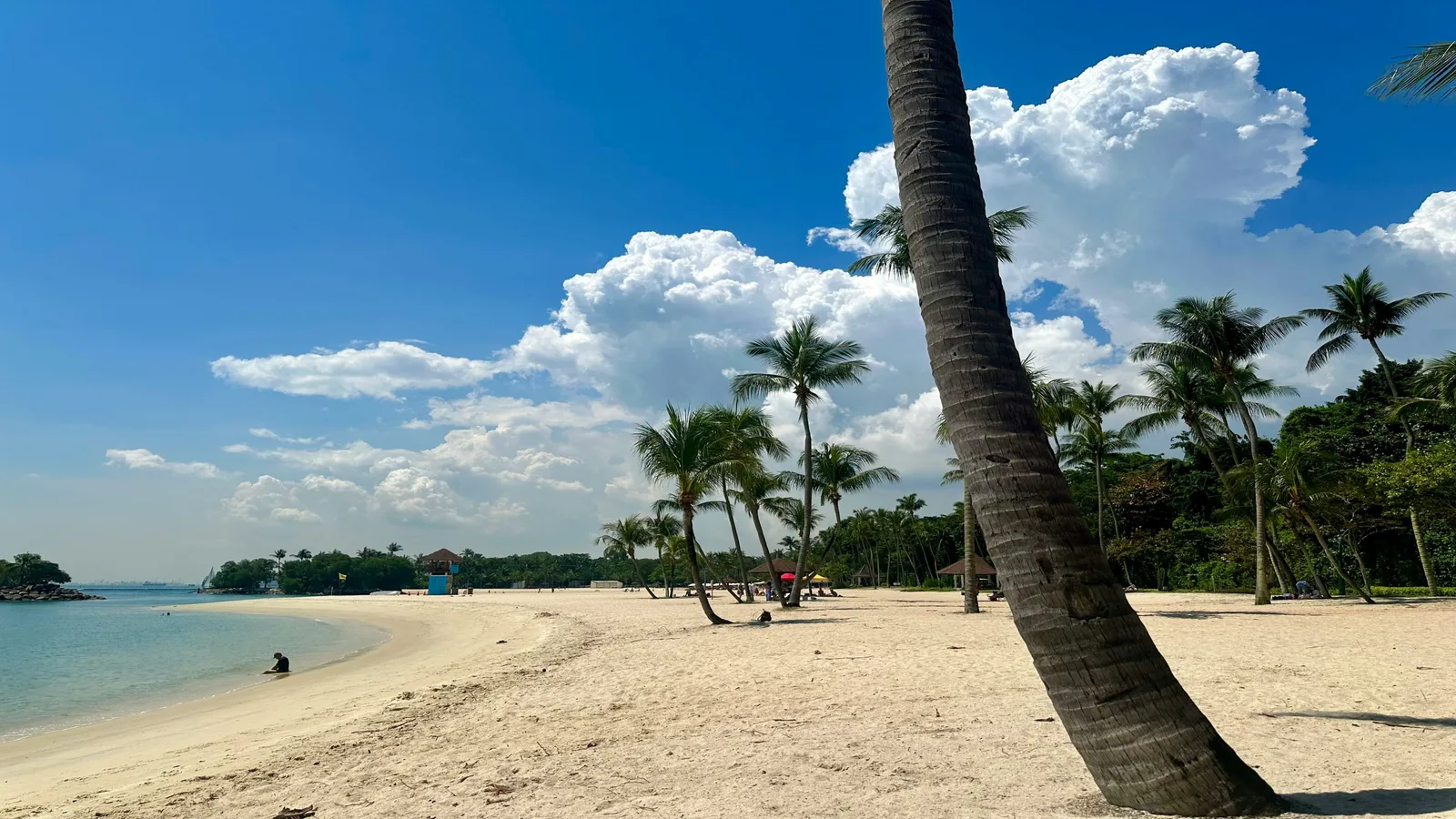 scenic view of beach of Sentosa