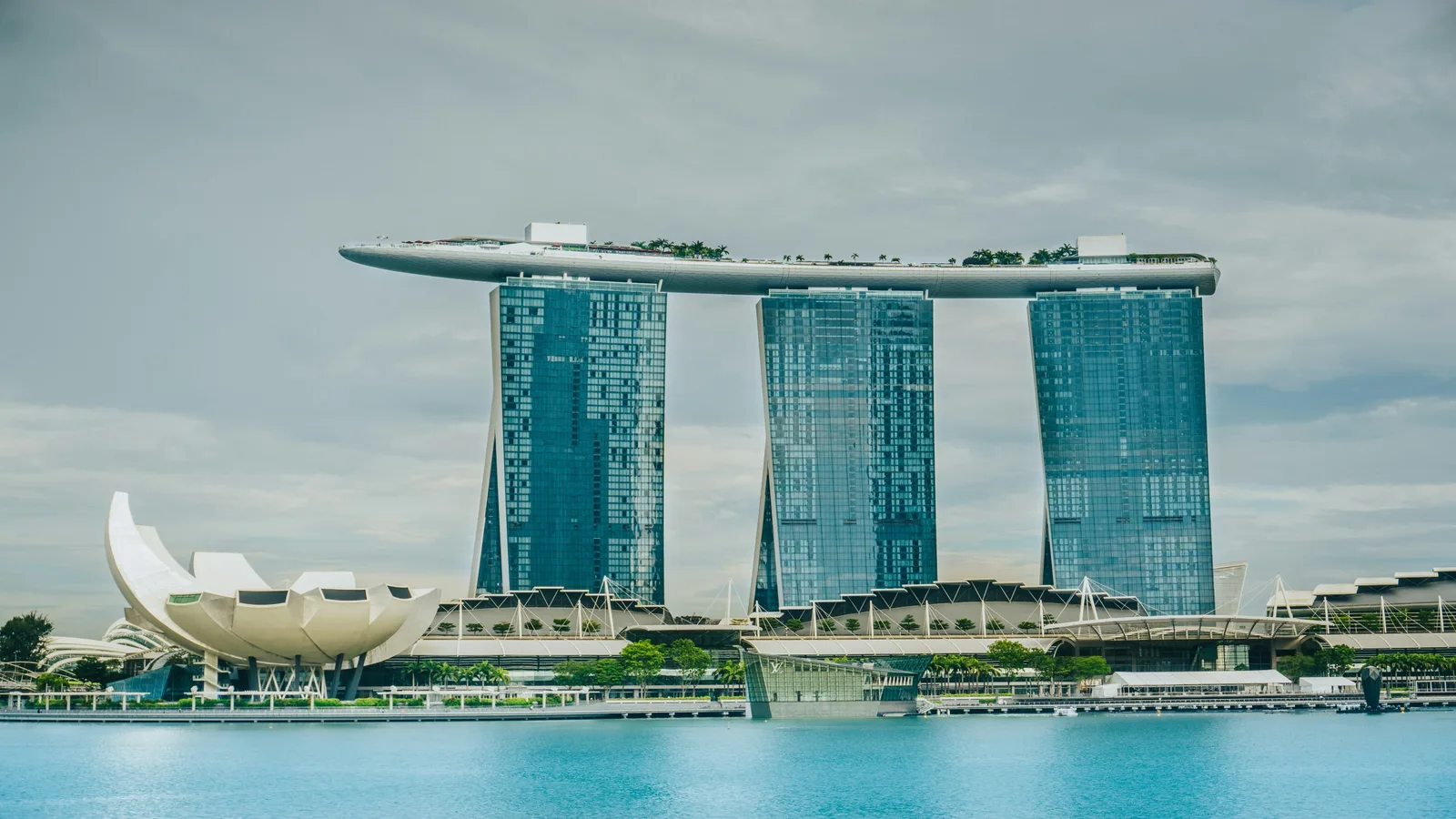 Walk above the world’s most iconic bay.