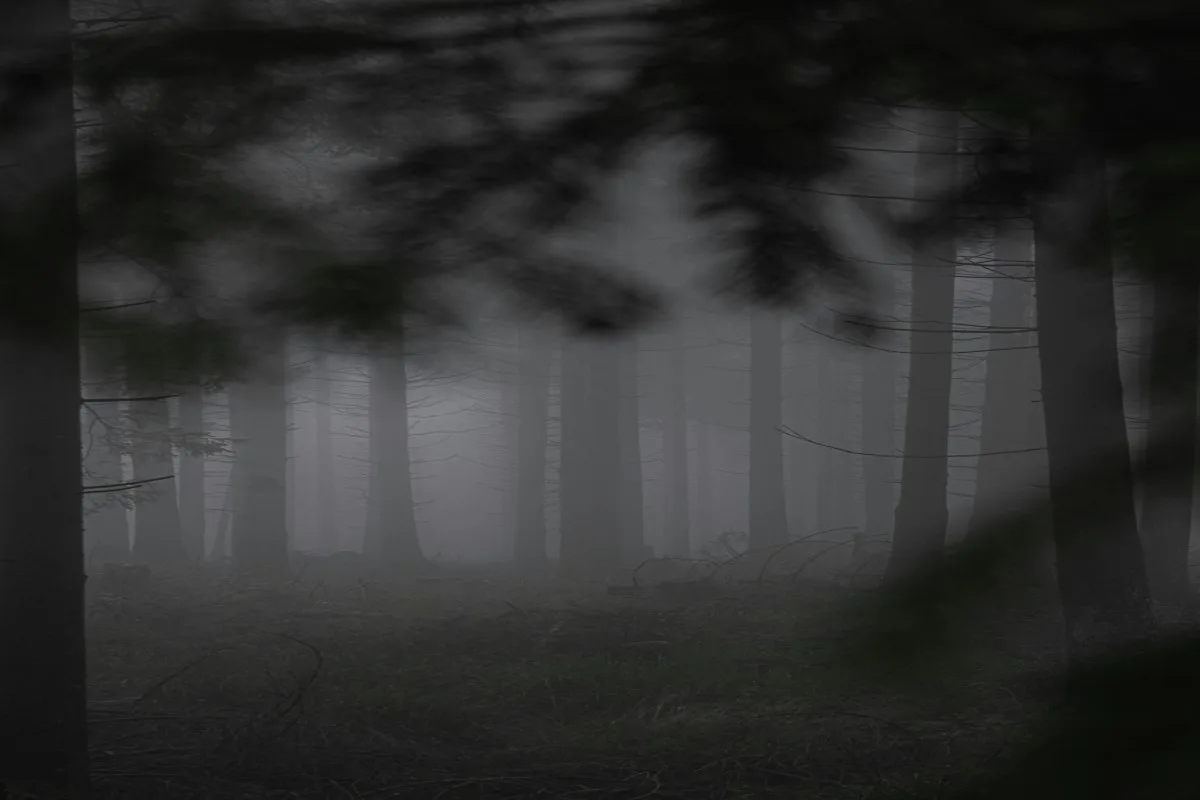 Black Forest