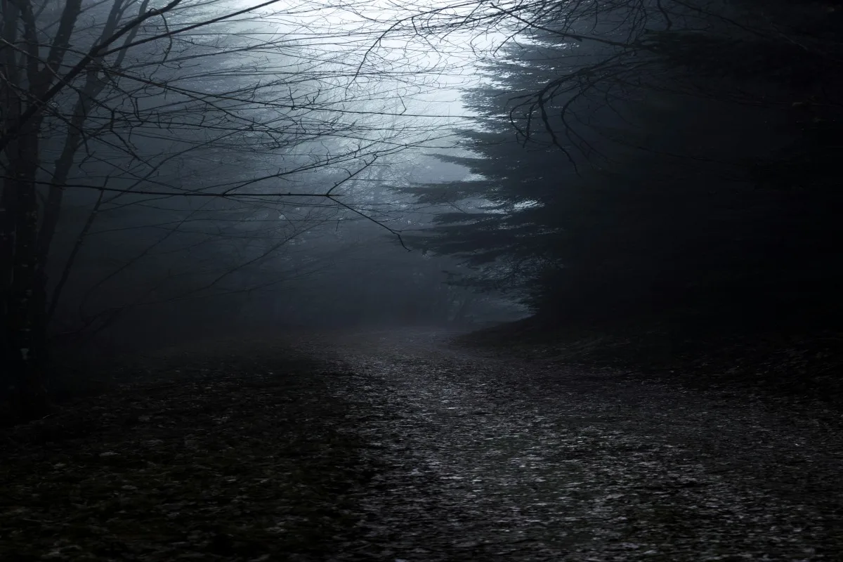spookie forest