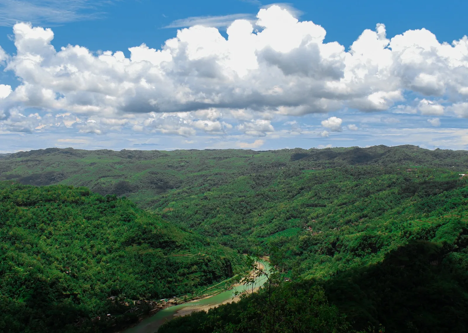 Eravikulam National Park