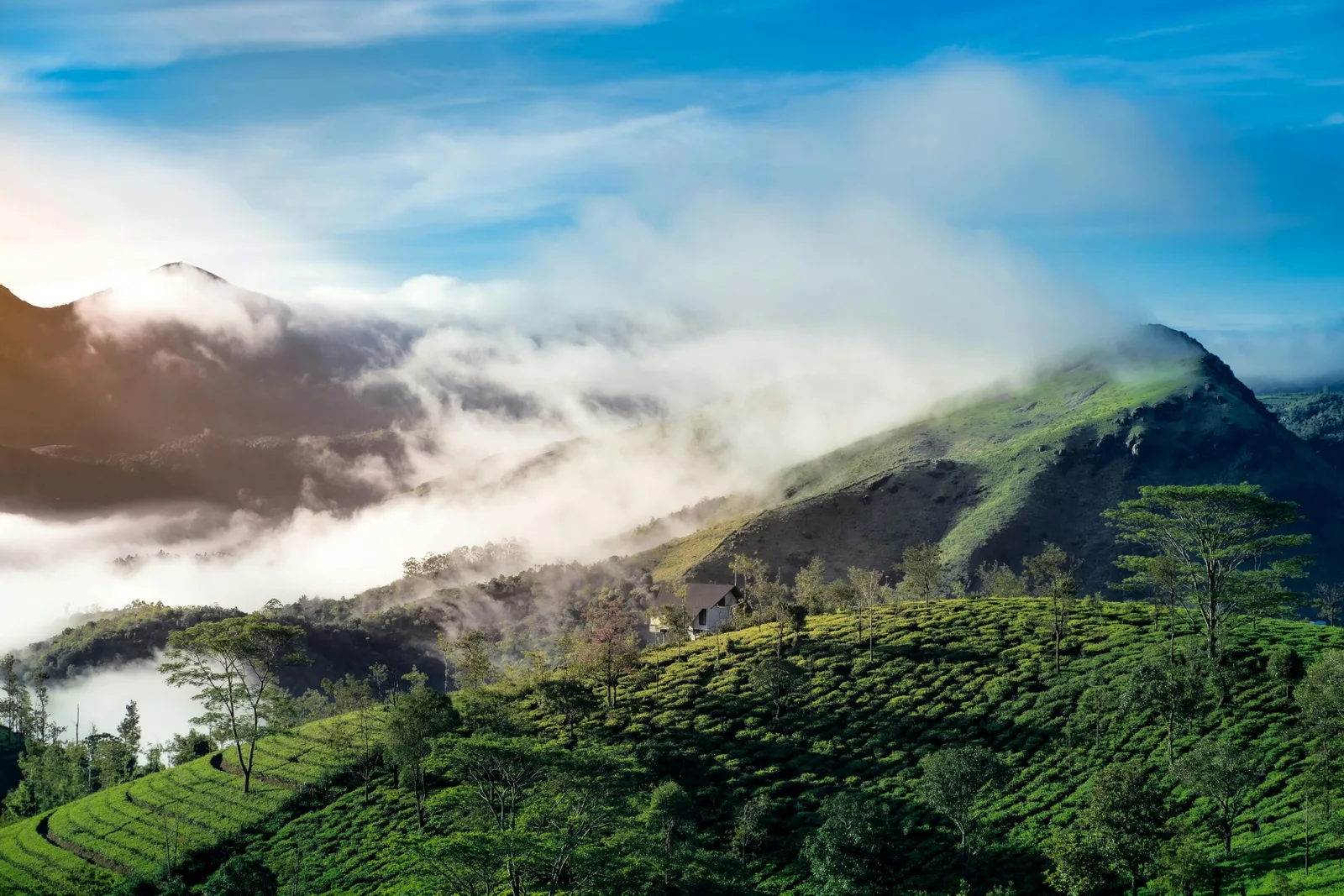 Scenic view of Kerala Hills
