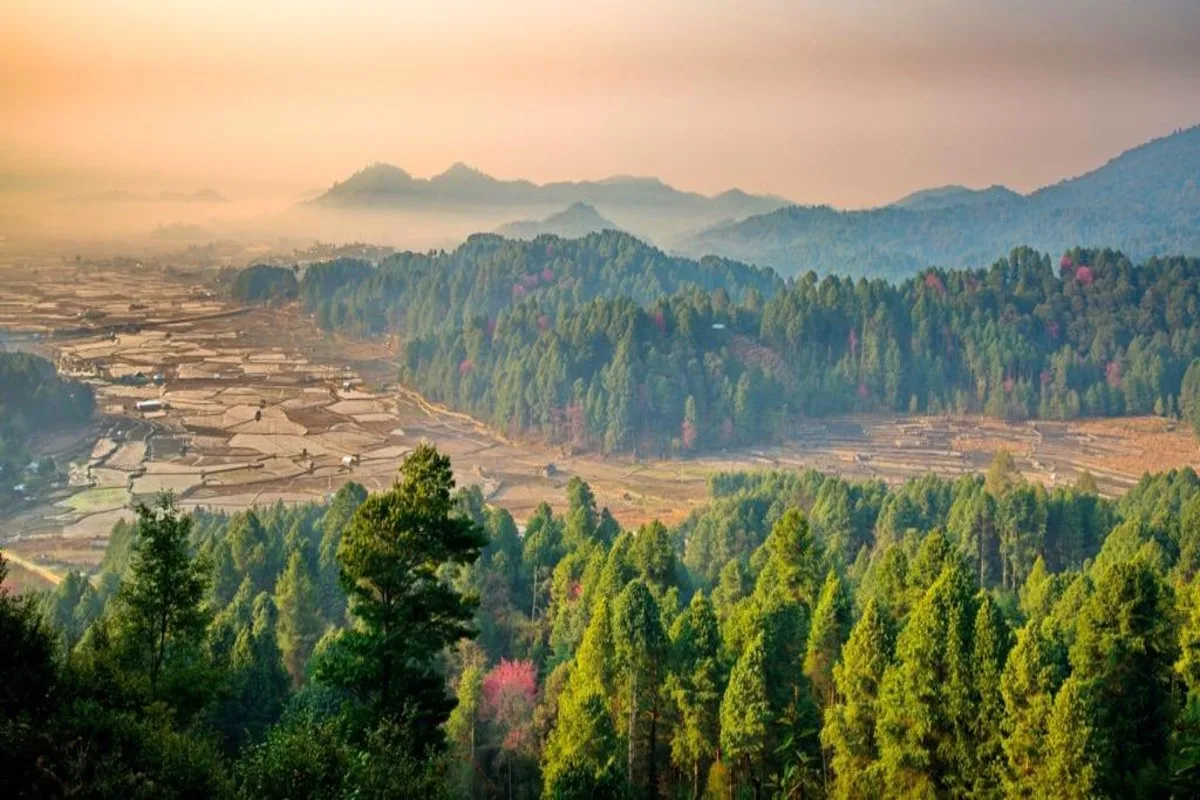Ziro valley