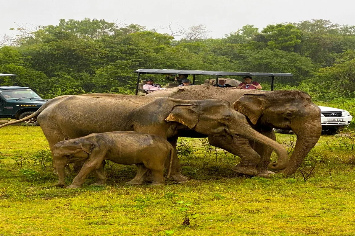 Elephant Transit Home in Udawalawe