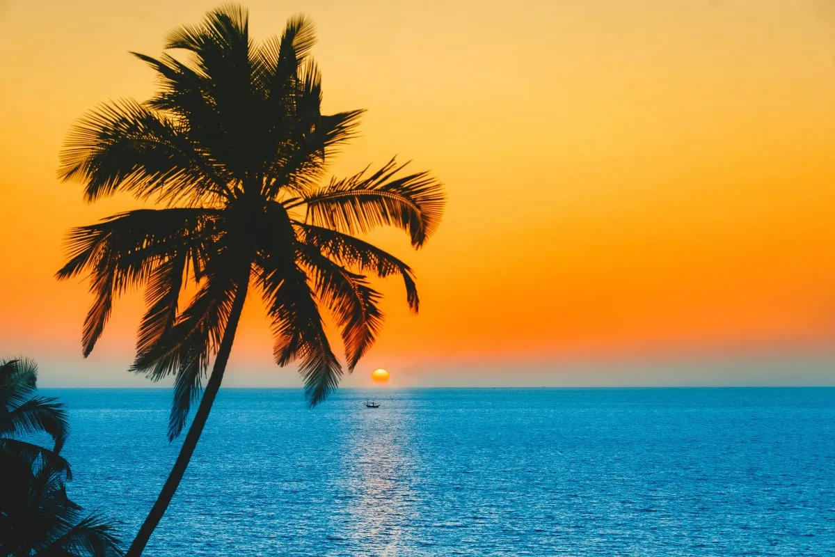 Goa's view during sunset